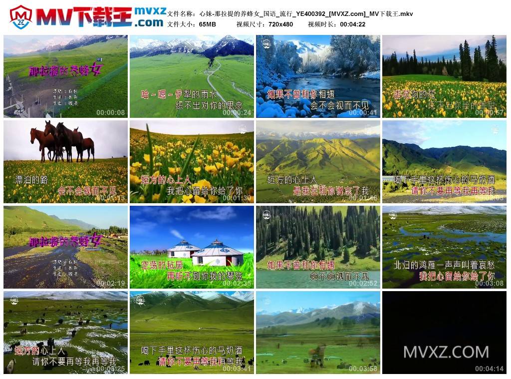 心妹-那拉提的养蜂女_国语_流行_YE400392